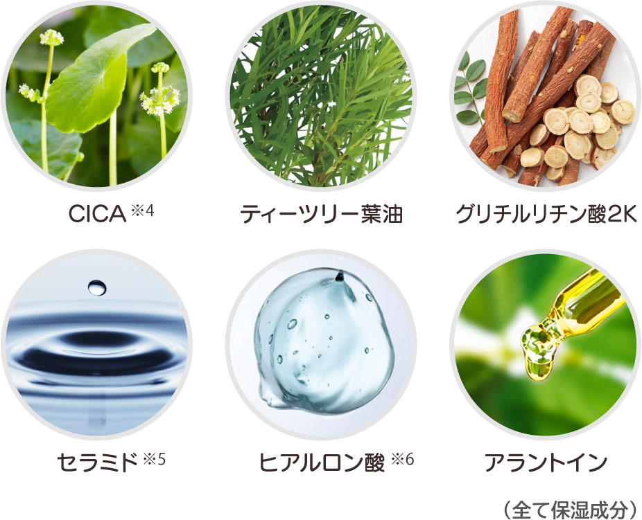 CICA、茶树叶油(*4)、甘草酸二钾、神经酰胺(*5)、透明质酸(*6)、尿囊素(全部保湿成分)