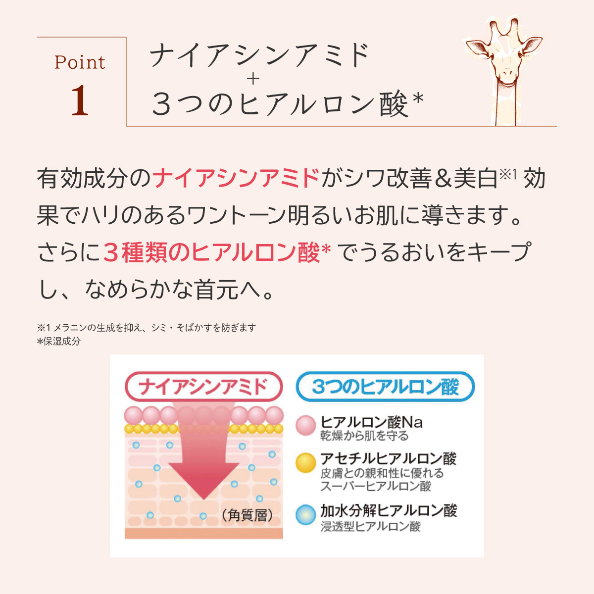 Point 1) 烟酰胺+3种透明质酸