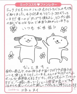 科内和努伊    